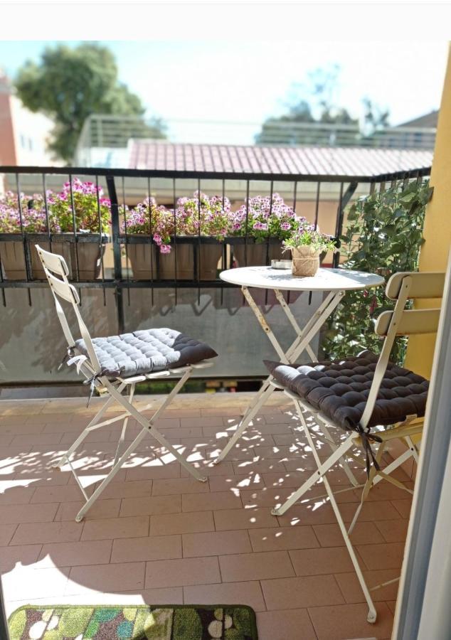 B&B La Palmetta Civitavecchia Eksteriør bilde